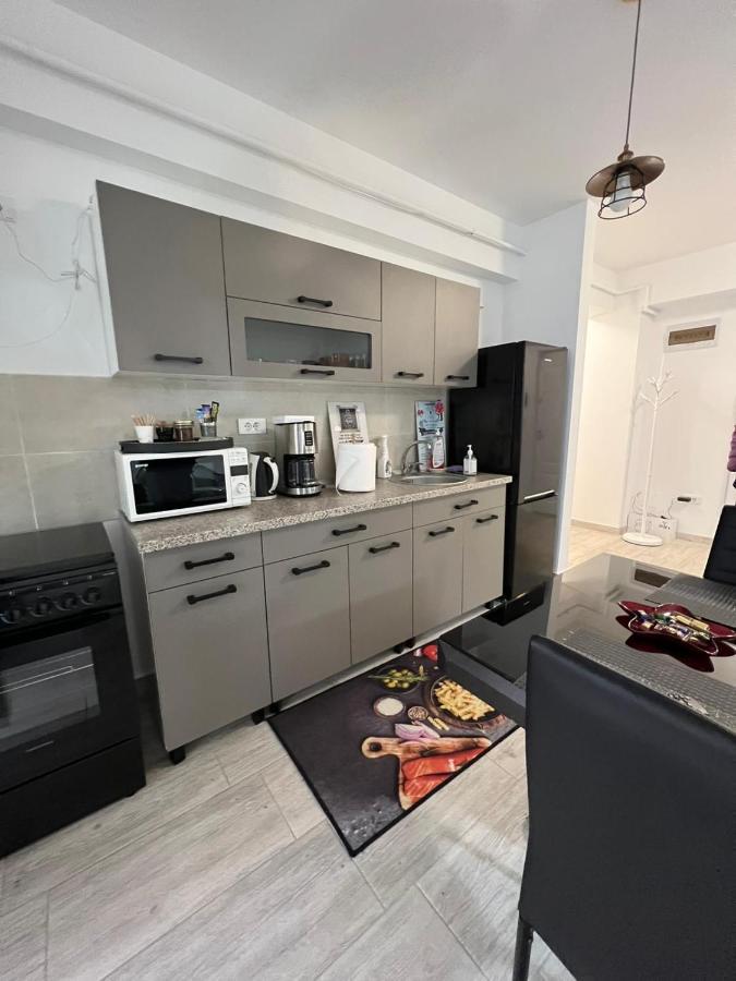 Apartament Intr-O Zona Rezidentiala Linistita ヤシ エクステリア 写真